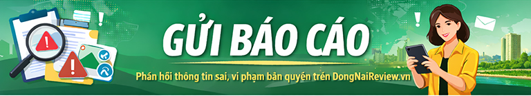 Gửi báo cáo DNR