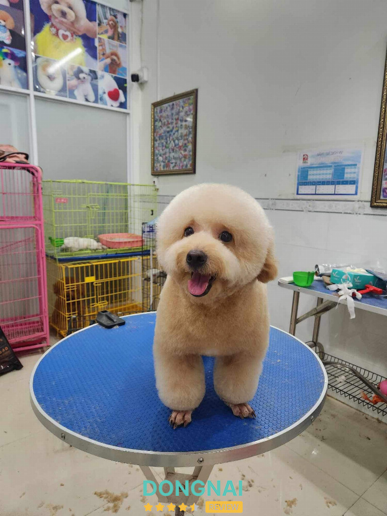 Phòng Khám Thú Y – Pet Shop Phạm Phước