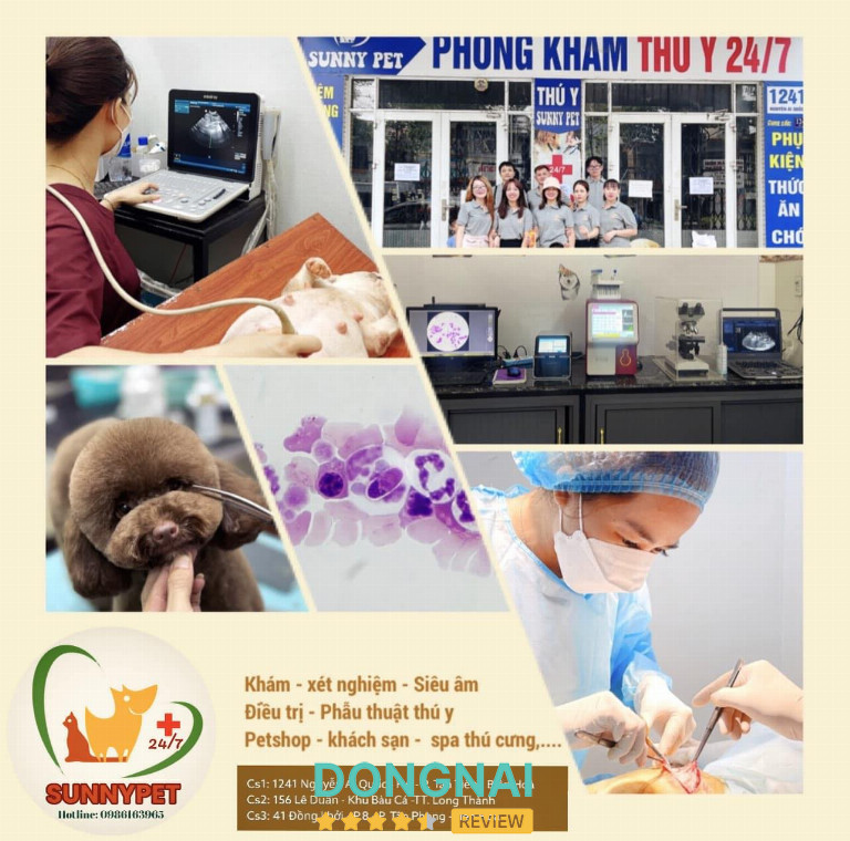 Phòng Khám Sunny Pet