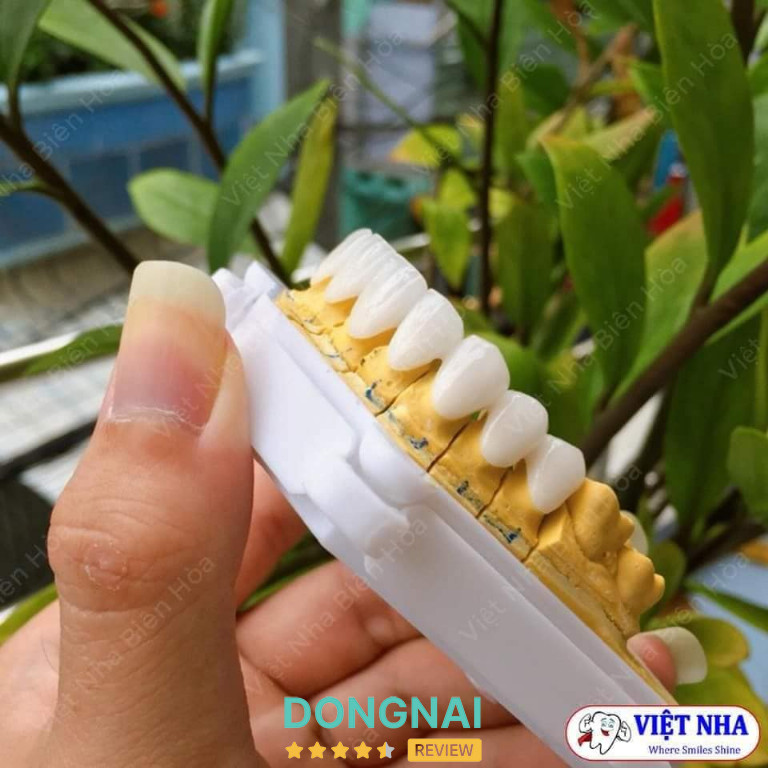 Nha Khoa Việt Nha Biên Hòa