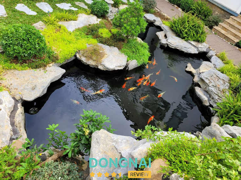 Diệp Long Koi Farm