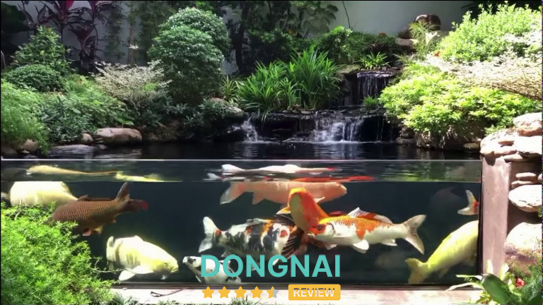 Thủy Sinh Đăng Khôi