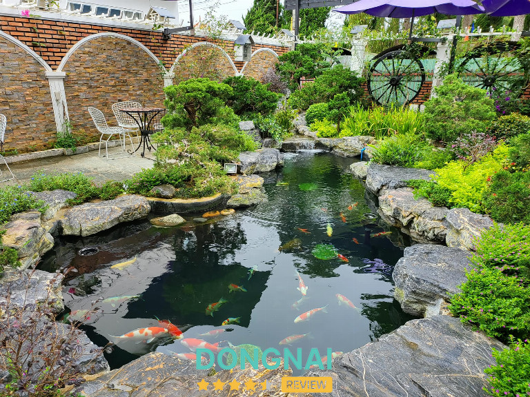 Linh Long Koi Farm