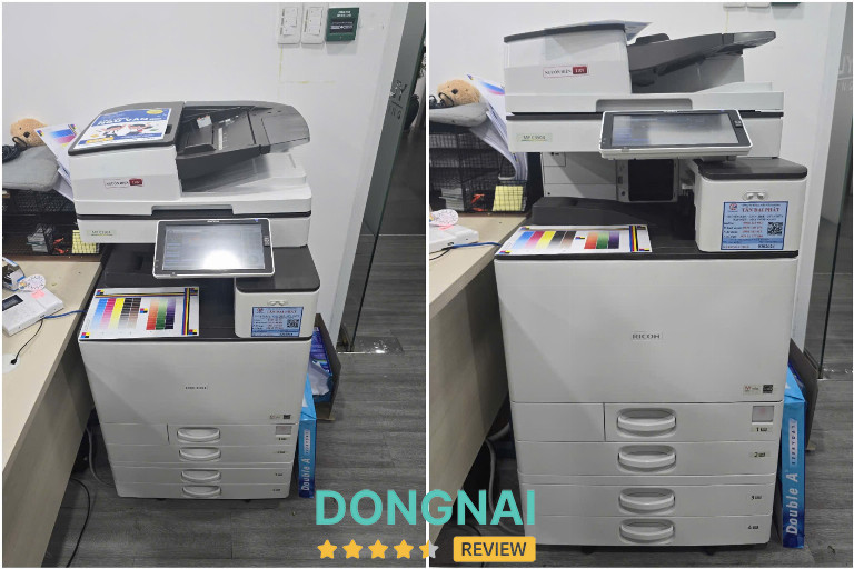 Công Ty TNHH MTV Thương Mại Dịch Vụ Phong Việt