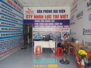 Nhân Lực Trí Việt - Biên Hòa 