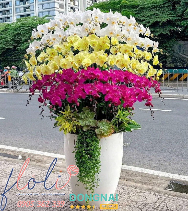 Shop hoa Lan Hồ Điệp ở Biên Hòa