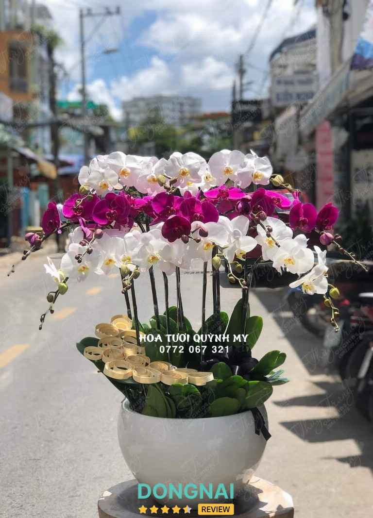 Hoa Tươi Quỳnh My - 296 Ngô Quyền