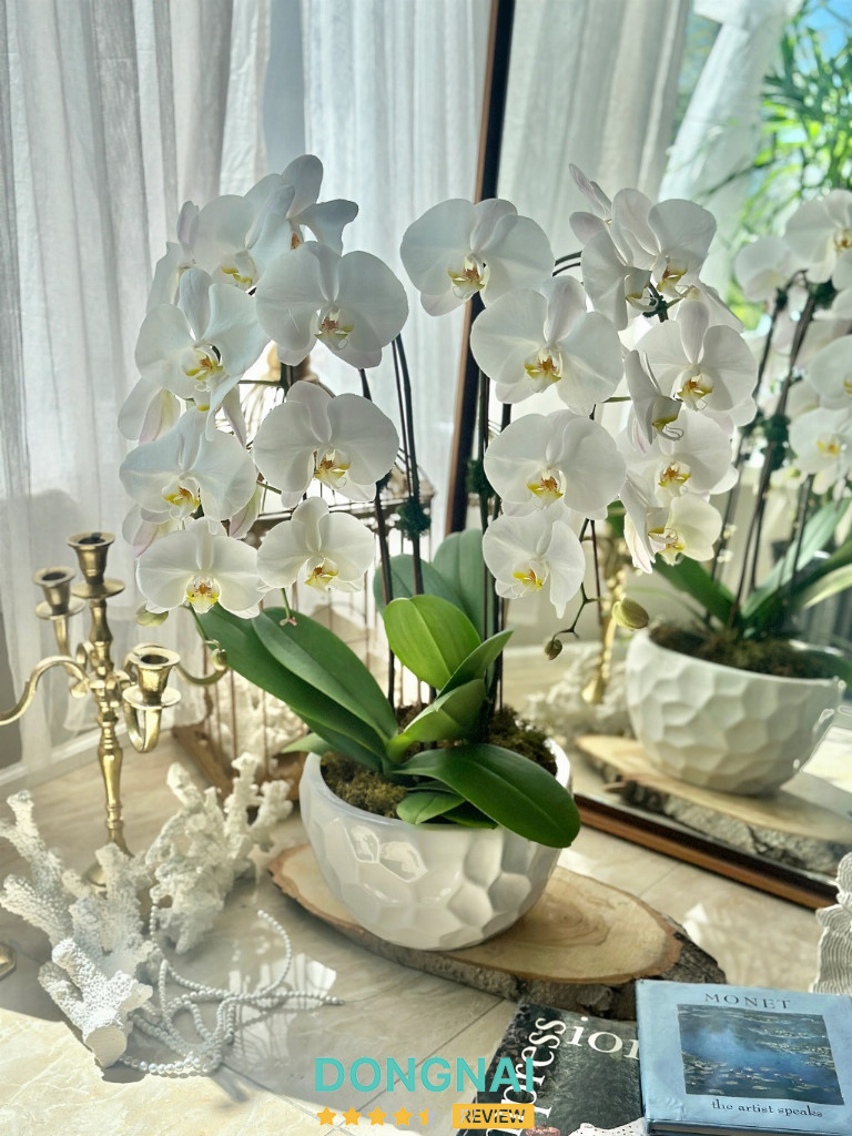 Hoa Bình An - 3 Nguyễn Ái Quốc