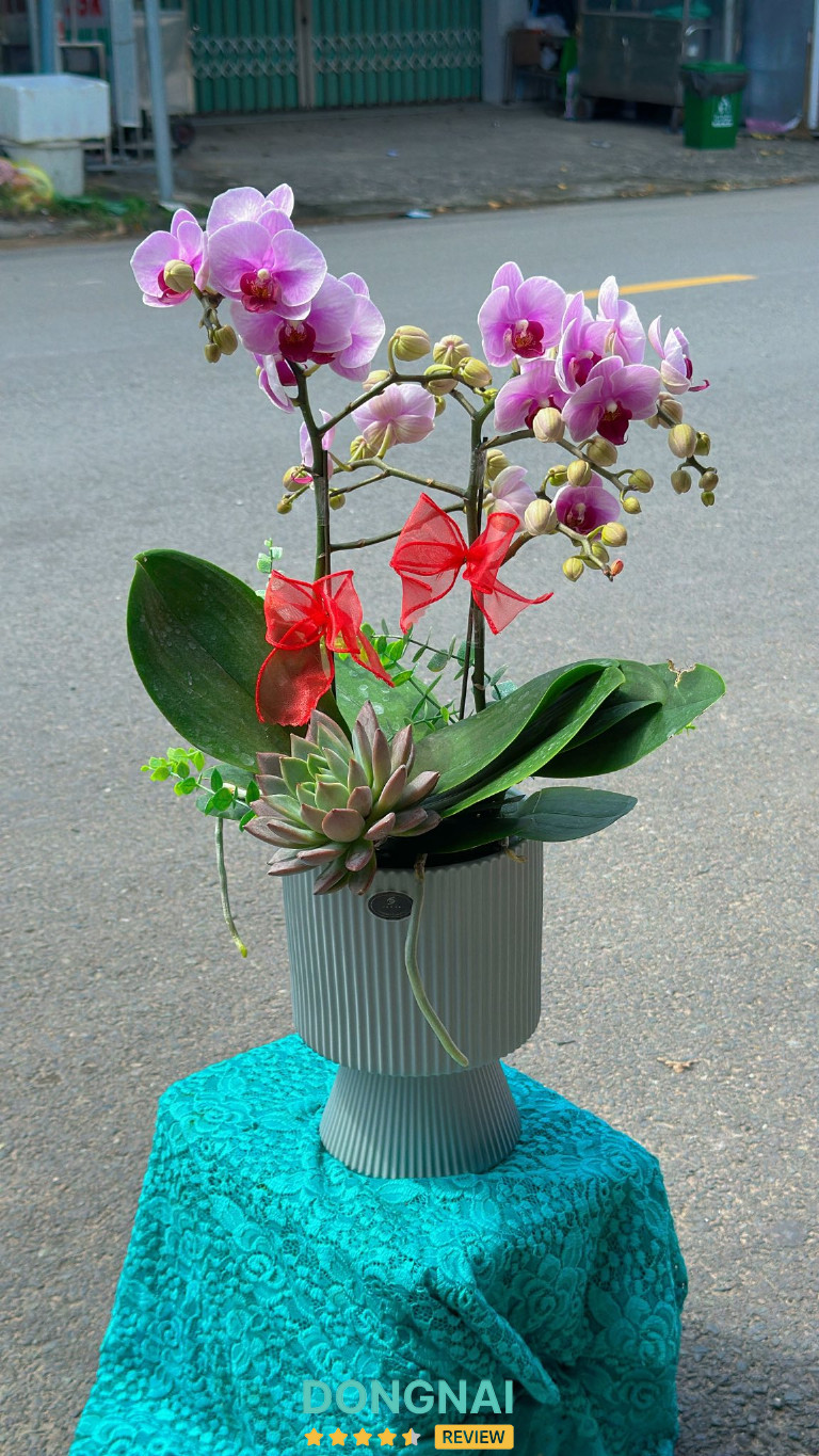 Hoa tươi Love Flower – Khu Phố 11