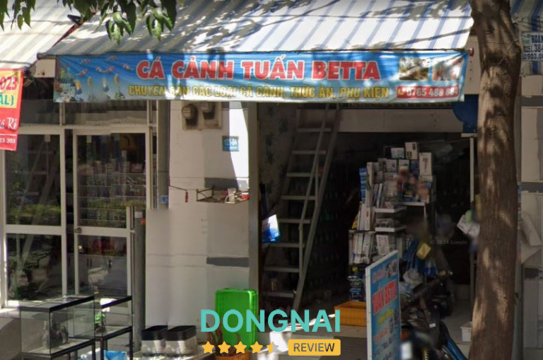 Cá Cảnh Tuấn Betta - Biên Hòa 