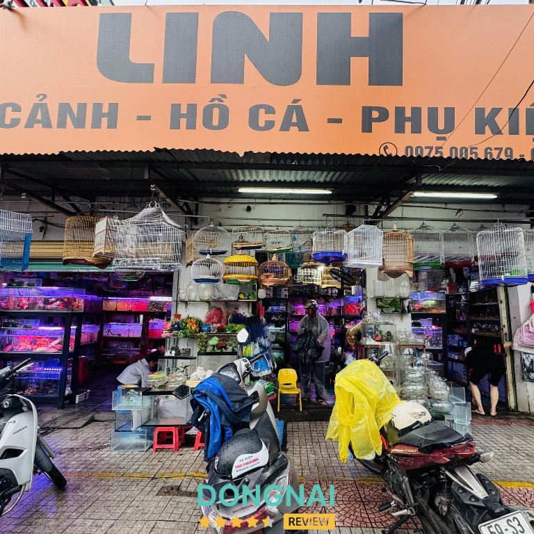 Cá Cảnh Linh - Biên Hòa 