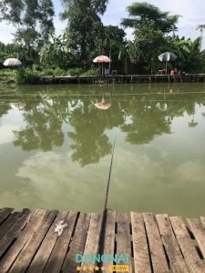 Hồ Câu Vườn Tràm - Biên Hòa 