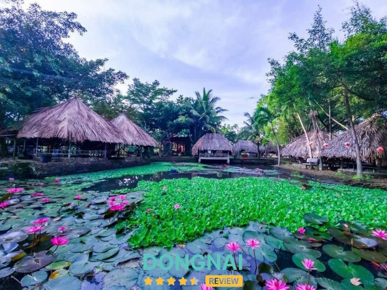 Câu Cá Giải Trí Bàu Trâm - Long Khánh