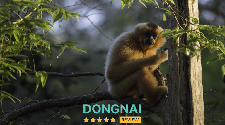 Các loài động vật hoang dã sinh sống tại Cát Tiên được bảo tồn nghiêm ngặt