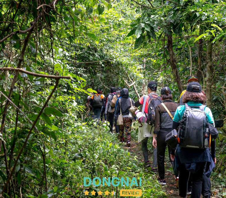 Khu rừng sở hữu nhiều cung trekking hấp dẫn như tuyến cây Gõ Bác Đồng, tuyến Bàu Sấu hay tuyến xuyên rừng Nam Cát Tiên