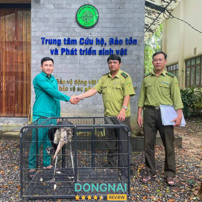 Trung tâm cứu hộ động vật hoang dã tại Vườn Quốc Gia Cát Tiên giúp du khách có cái nhìn rõ ràng và chân thật hơn về công tác bảo tồn thiên nhiên