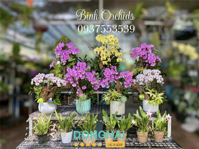 Vườn Lan Phạm Bình - Mặt tiền đường Nguyễn Ái Quốc