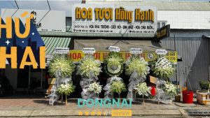 Hoa Tươi Hồng Hạnh - 63 Chu Văn An