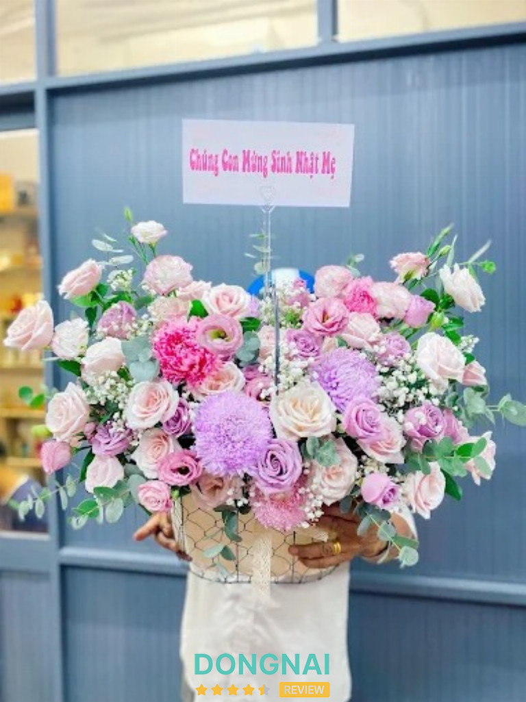 Hoa Mai Khôi - Hẻm 150 Ấp 3