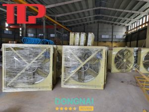 Công ty Tài Tiến Phát - Biên Hòa