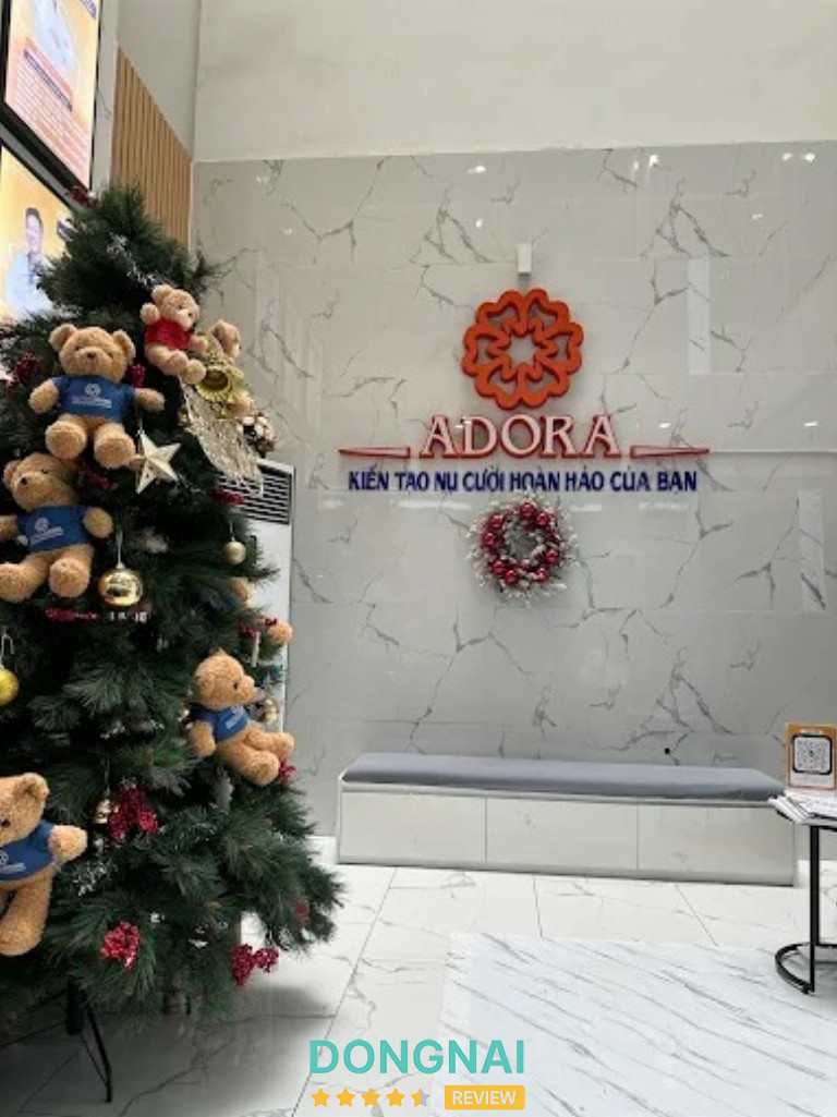 Địa chỉ niềng răng ở Biên Hòa