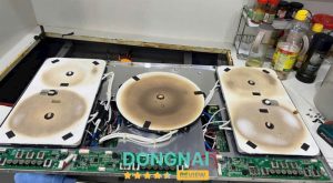 Thanh Hải Phát - Biên Hòa 