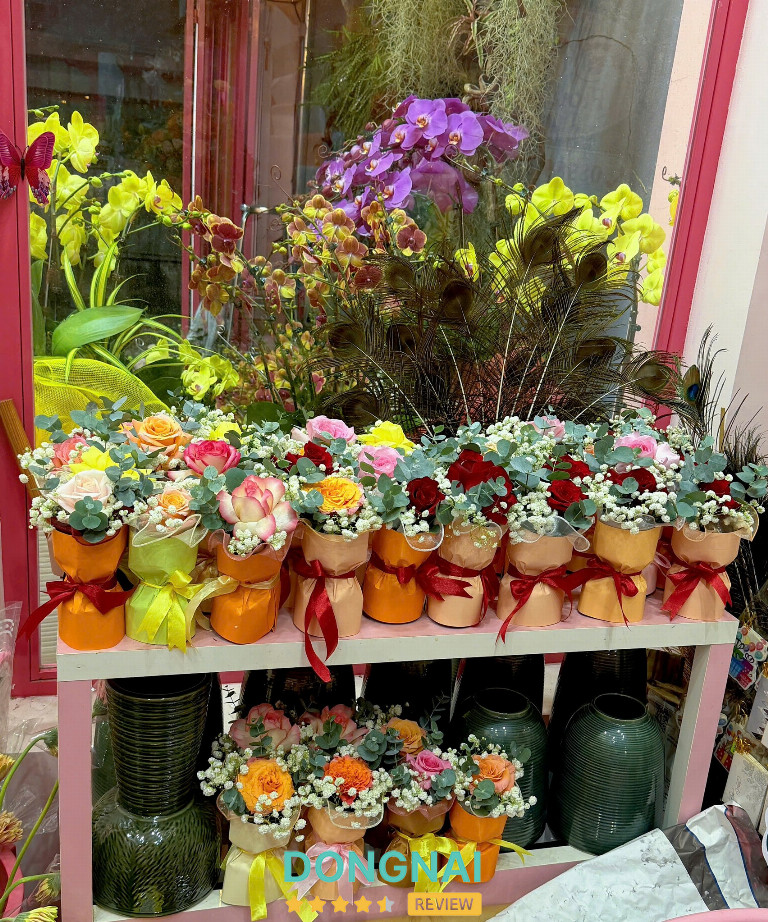 Kitty Flowers - 10 Tô Hiến Thành