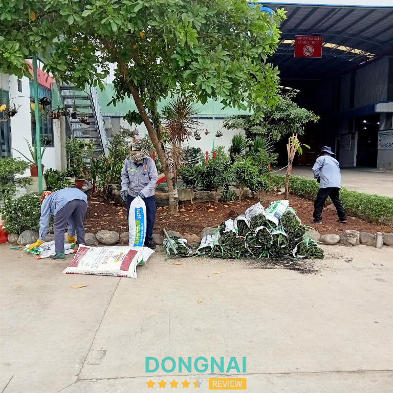 Dịch vụ môi trường Hola - Số 5/97, Tổ 13, Khu phố 14