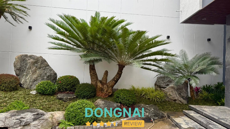 Rêu Garden - 75 N14, D2D