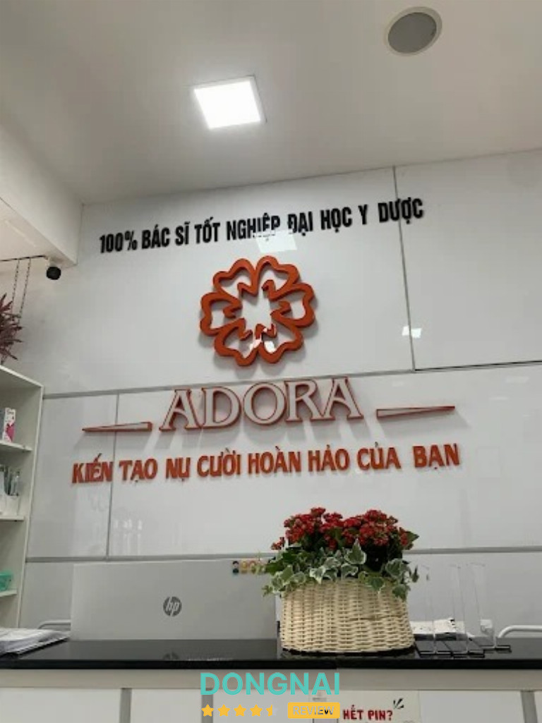 Nha Khoa Adora - 236 Đồng Khởi