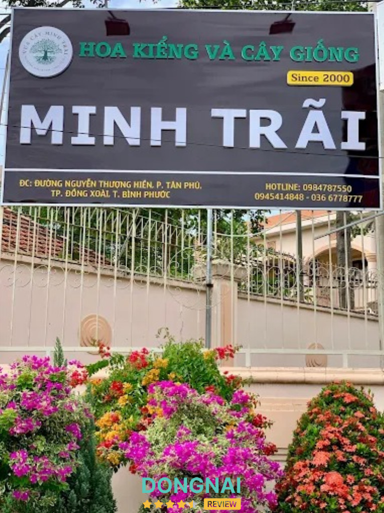 Vựa Cây Minh Trãi - Nguyễn Thượng Hiền