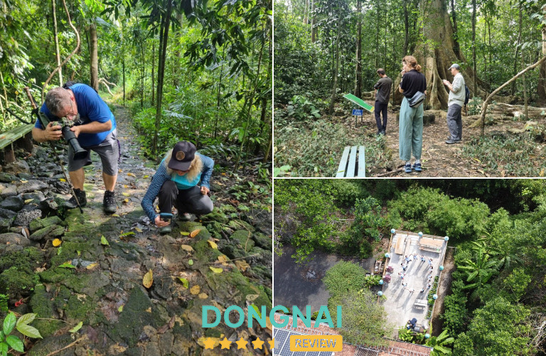 Bến Cự Forest Floor Lodge – Xã Nam Cát Tiên