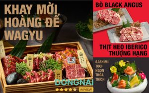 Sumogoya - 1096 Phạm Văn Thuận