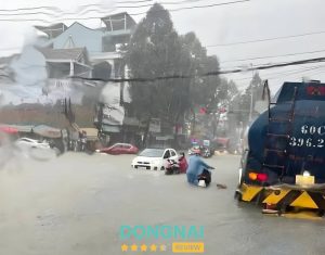 Từ hầm chui Tân Phong đến ngã ba cầu Đồng Khởi