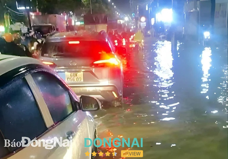 Đường Nguyễn Ái Quốc từ cổng Bệnh viện Tâm thần Trung Ương 2