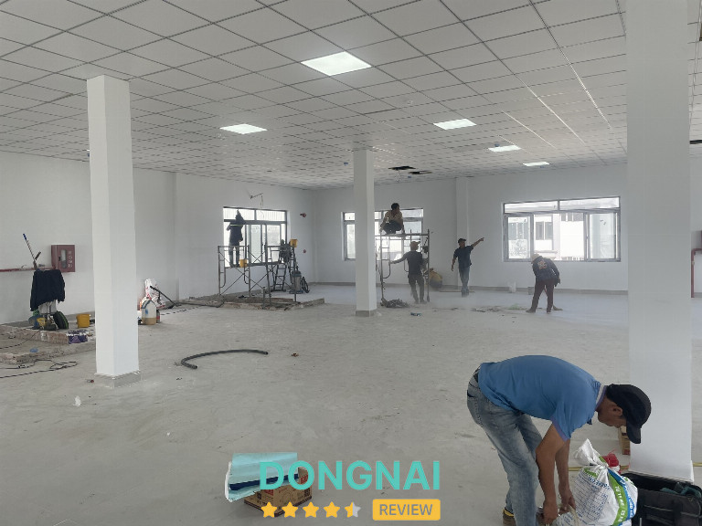 Vệ Sinh Công Nghiệp Kiến An Phát - 11/2/29D Tổ 48, KP11